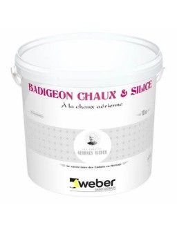 WEBER PRODEXOR K+S (Badigeon chaux et silice)